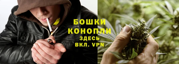 спайс Гусев