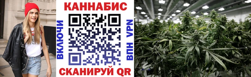Конопля планчик  Купить закладки  Котельниково 